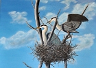grands heron nids.jpg